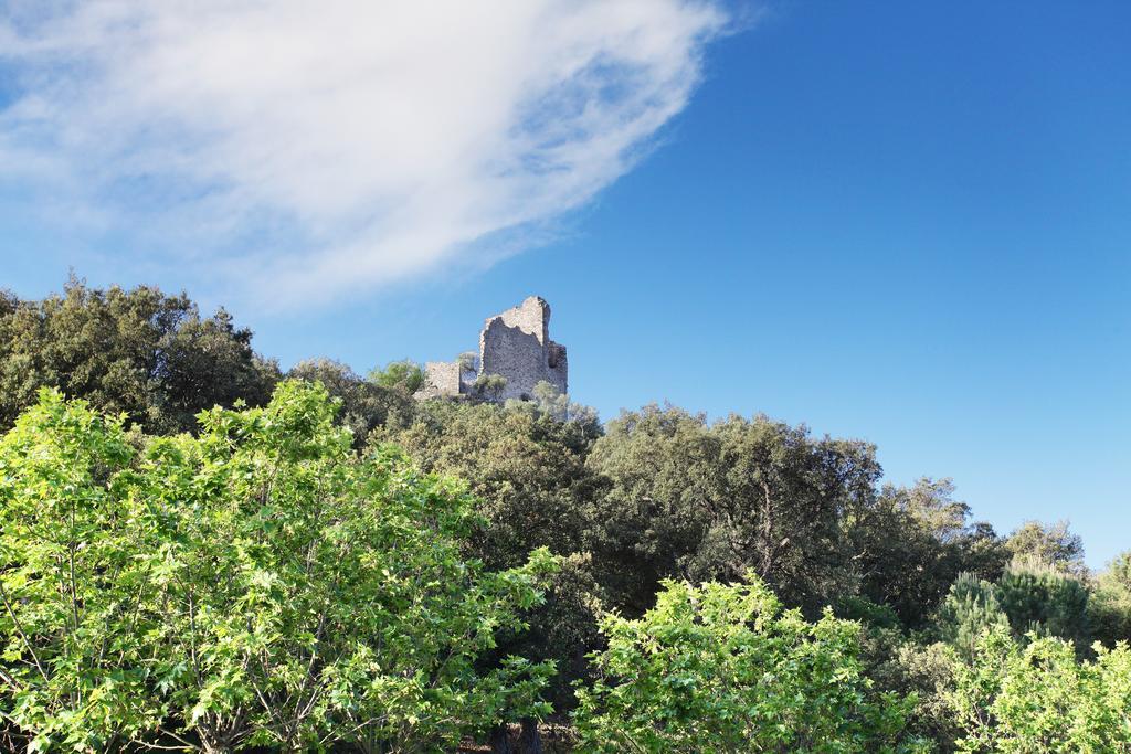 Résidence Prestige Odalys La Palmeraie Grimaud Exterior foto